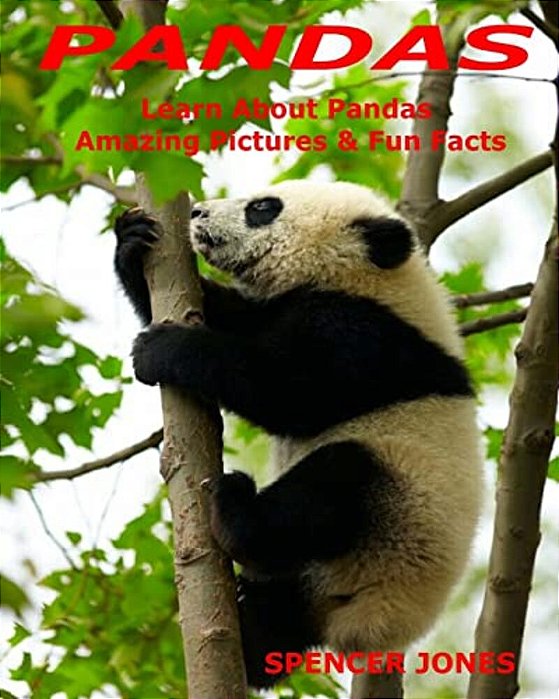 Pandas: Learn About Pandas Amazing Pictures & Fun Facts-..