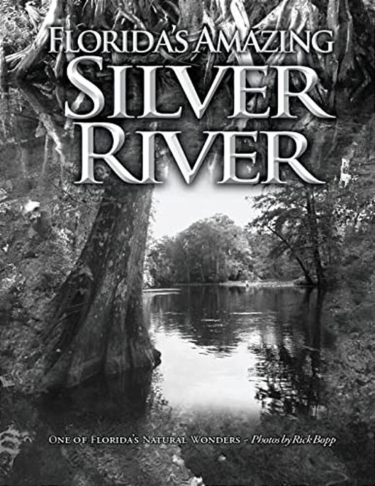 Florida's Amazing Silver River: One Of Florida's Natural Wonders-..