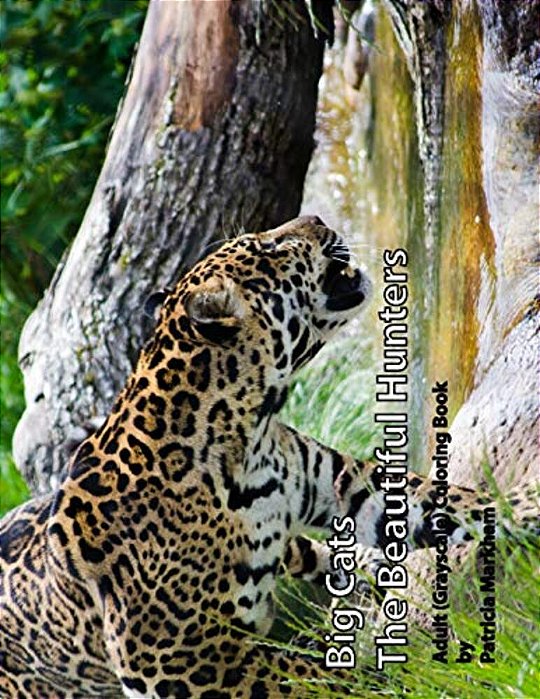 Big Cats: The Beautiful Hunters-..