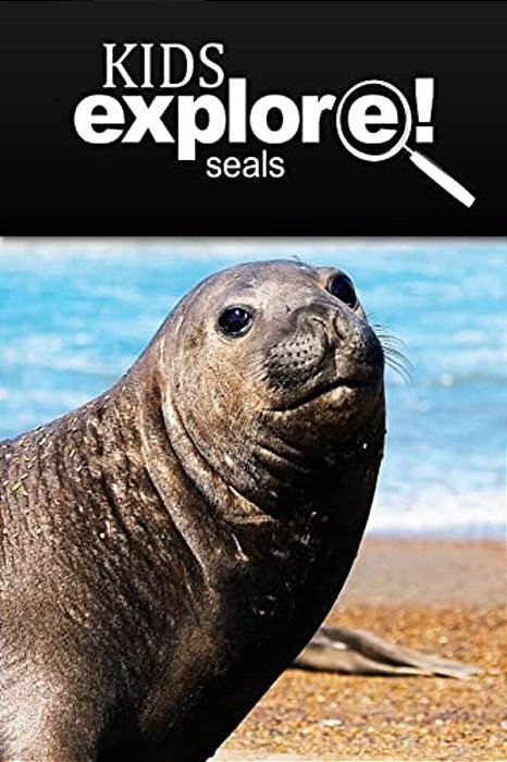 Seals - Kids Explore: Animal Books Nonfiction - Books Ages 5-6-..