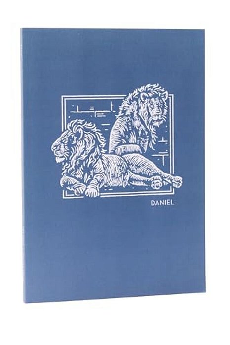 Net Abide Bible Journal - Daniel, Paperback, Comfort Print: Holy Bible-..