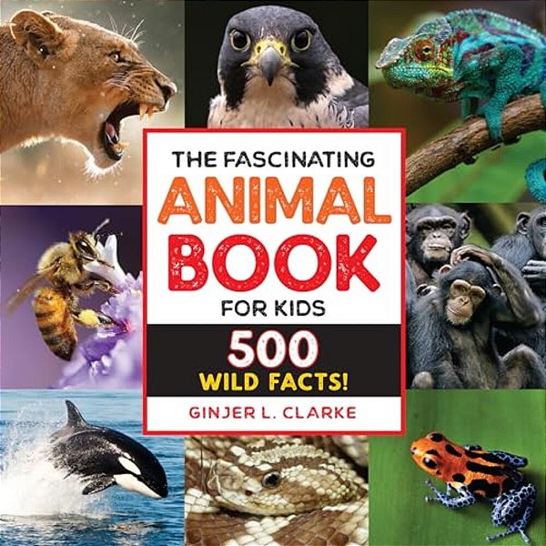 The Fascinating Animal Book For Kids: 500 Wild Facts!-..