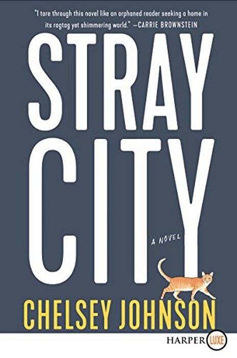 Stray City-..