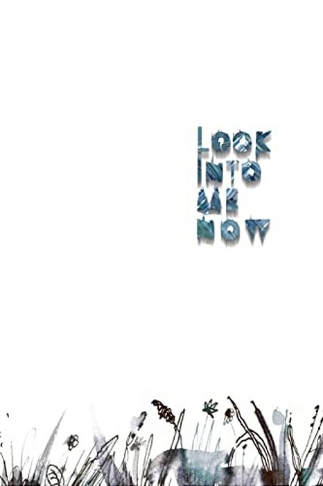 Look Into Me Now: A Book Of Abandoned Things-..