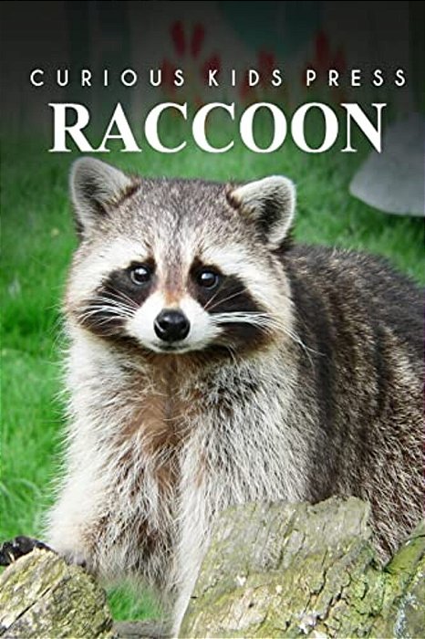 Raccoon - Curious Kids Press-..