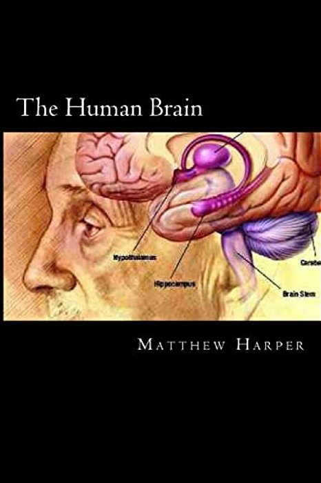 The Human Brain: A Fascinating Book Containing Human Brain Facts, Trivia, Images & Memory Recall Quiz: Suitable For Adults & Children-..