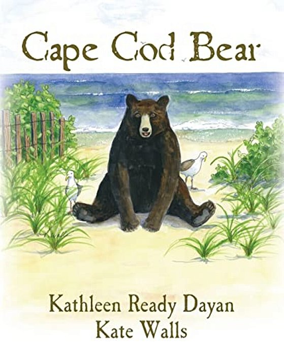 Cape Cod Bear-..