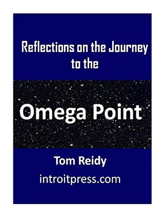 Reflections On The Journey To The Omega Point-..
