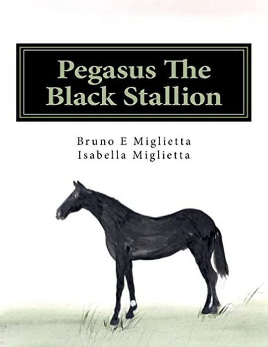 Pegasus The Black Stallion-..