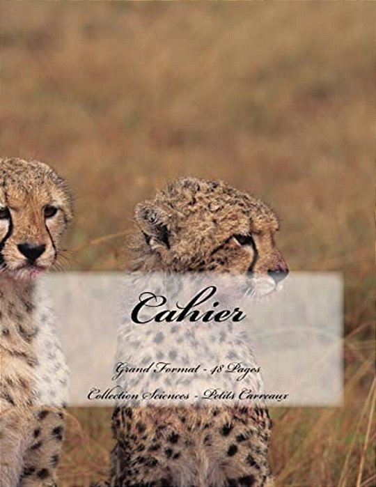 Cahier - Grand Format - 48 Pages - Collection Sciences: Petits Carreaux - Design Original 9-..