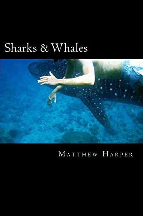 Sharks & Whales: A Fascinating Book Containing Shark & Whale Facts, Trivia, Images & Memory Recall Quiz: Suitable For Adults & Children-..