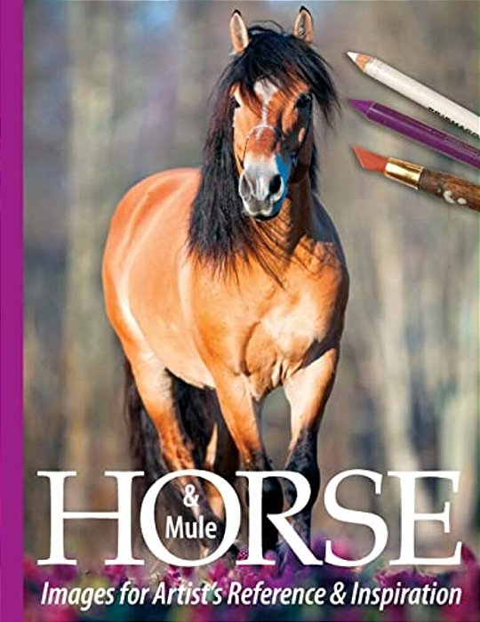 Horse And Mule Images For Artist's Reference And Inspiration-..