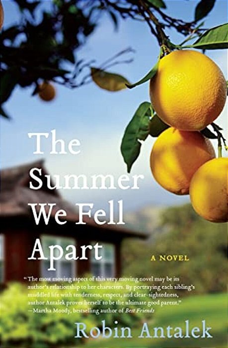 The Summer We Fell Apart-..