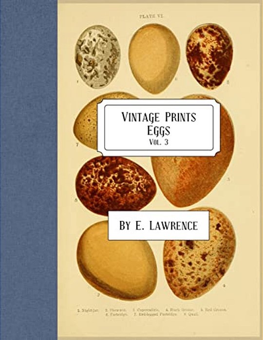 Vintage Prints: Eggs: Vol. 3-..