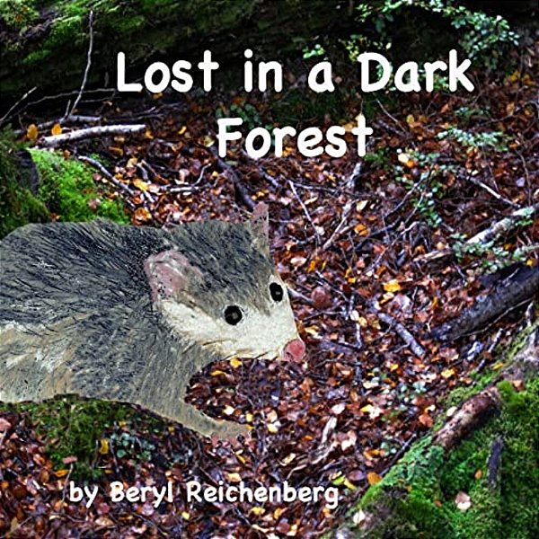 Lost In A Dark Forest-..