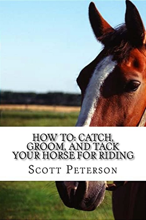 How To: Catch, Groom, And Tack Your Horse For Riding-..