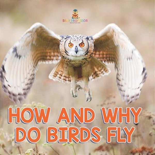 How And Why Do Birds Fly-..