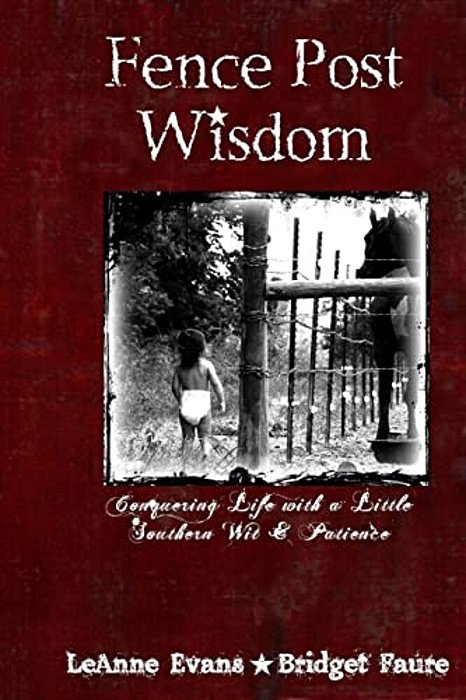 Fence Post Wisdom: Conquering Life With A Little Southern Wit And Patience-..