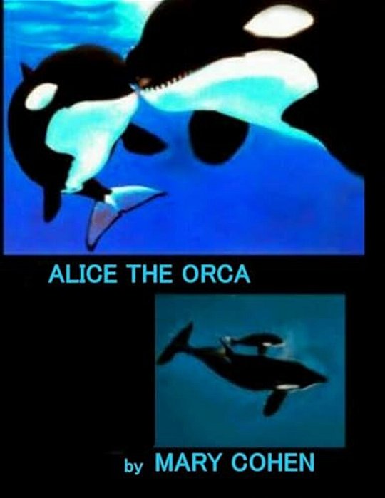 Alice The Orca-..