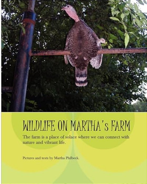 Wildlife On Martha's Farm: Living Naturally In The Lap Of Nature-..