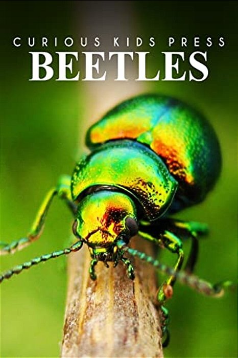 Beetles - Curious Kids Press: Kids Book About Animals And Wildlife, Children's Books 4-6-..