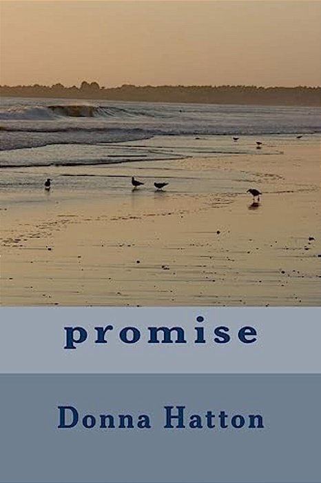 Promise-..