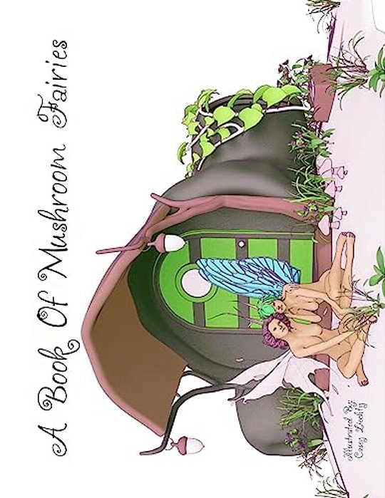 A Book Of Mushroom Fairies-..