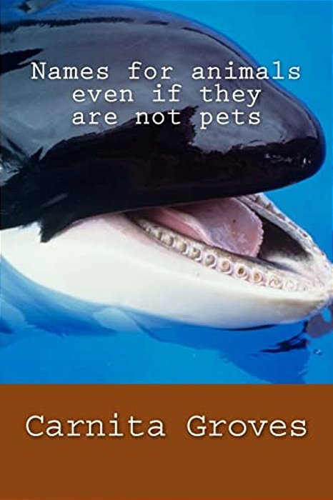 Names For Animals Even If They Are Not Pets-..