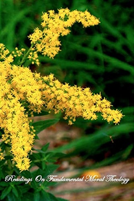 Readings On Fundamental Moral Theology-..