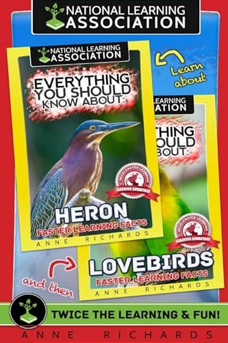 Everything You Should Know About: Herons And Lovebirds-..