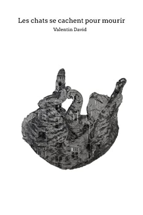 Les Chats Se Cachent Pour Mourir-..