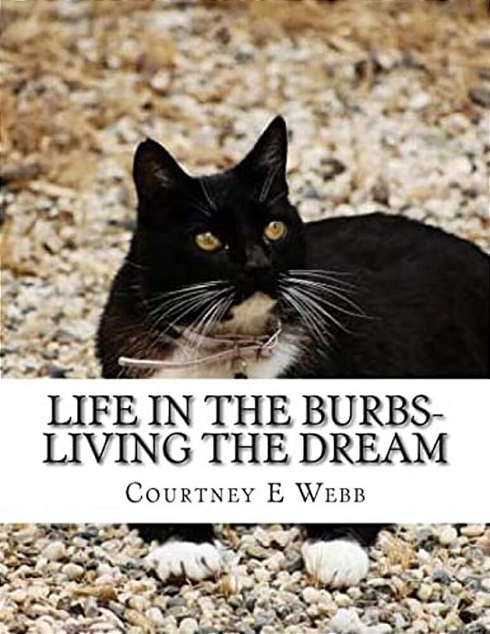 Life In The Burbs-Living The Dream-..