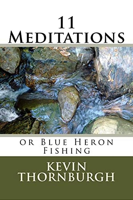11 Meditations: Or Blue Heron Fishing-..