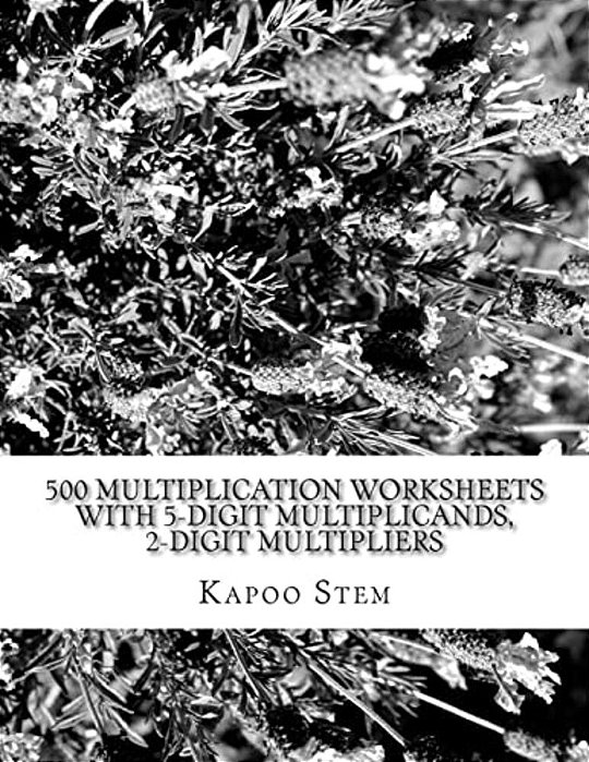 500 Multiplication Worksheets With 5-Digit Multiplicands, 2-Digit Multipliers: Math Practice Workbook-..