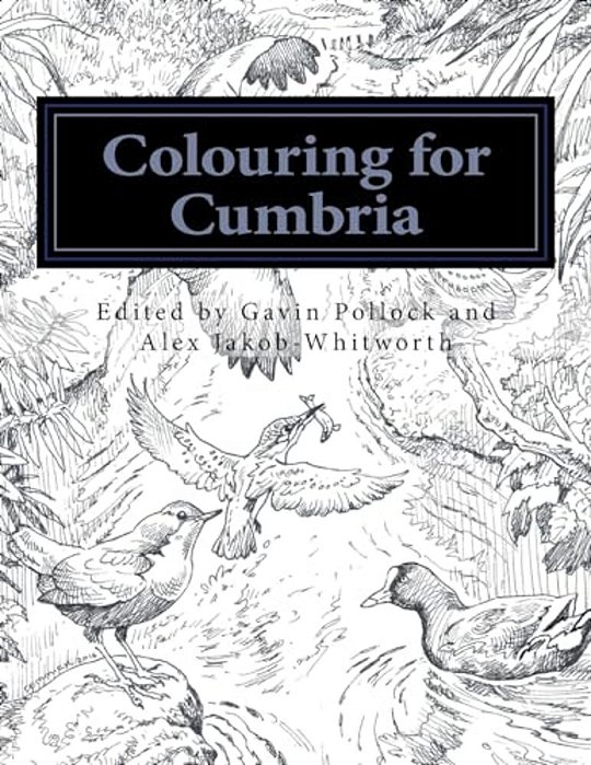 Colouring For Cumbria: Raising Money For People Affected By The Floods In Cumbria And Northern England. -..