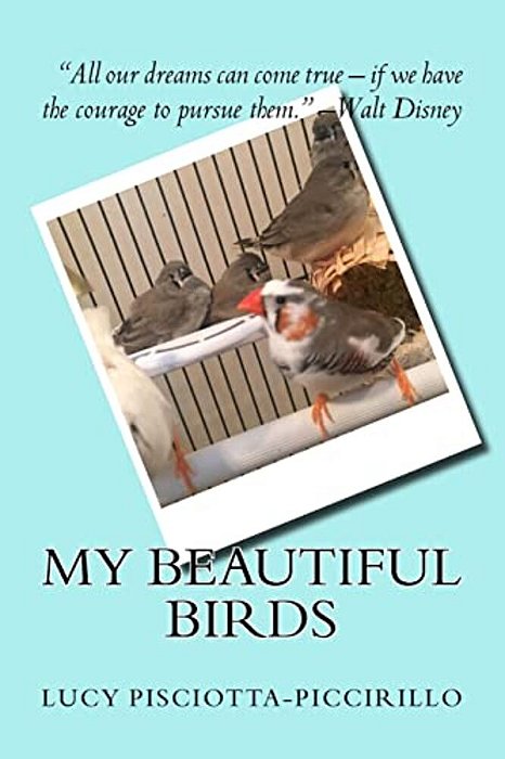 My Beautiful Birds-..