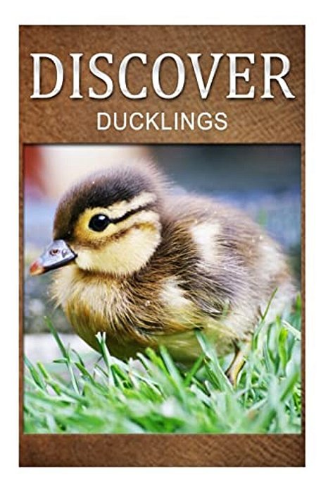 Ducklings - Discover: Early Reader's Wildlife Photography Book-..
