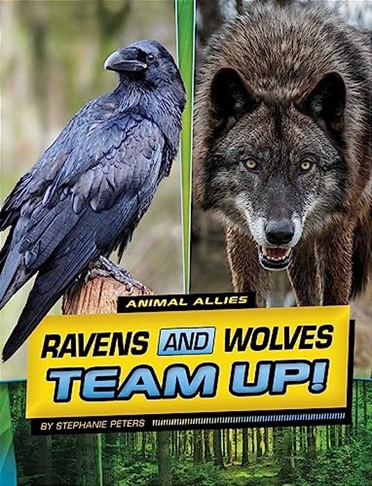 Ravens And Wolves Team Up!-..