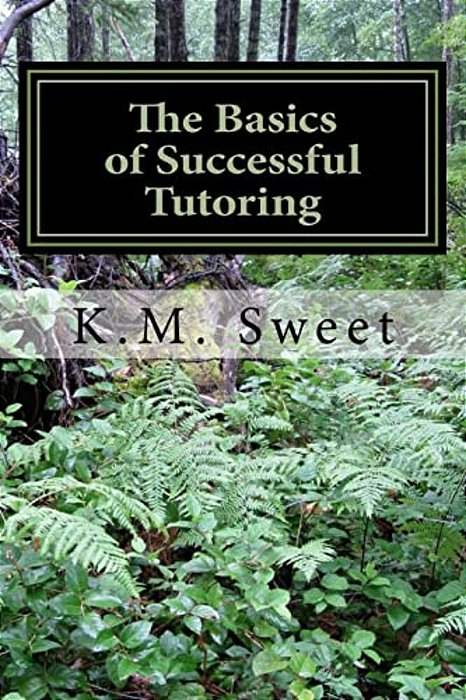The Basics Of Successful Tutoring-..