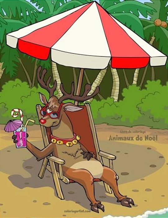 Livre De Coloriage Animaux De Noël 3 & 4-..