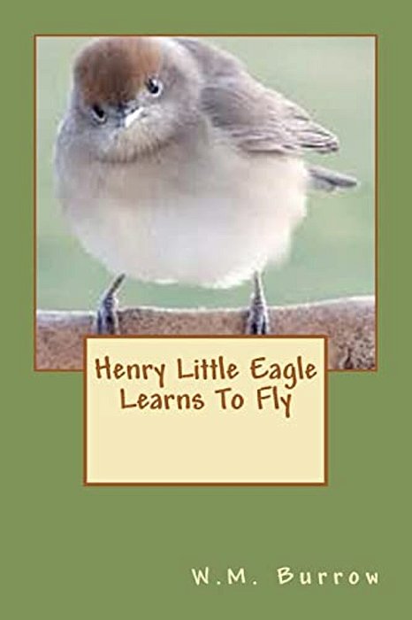 Henry Little Eagle Learns To Fly-..