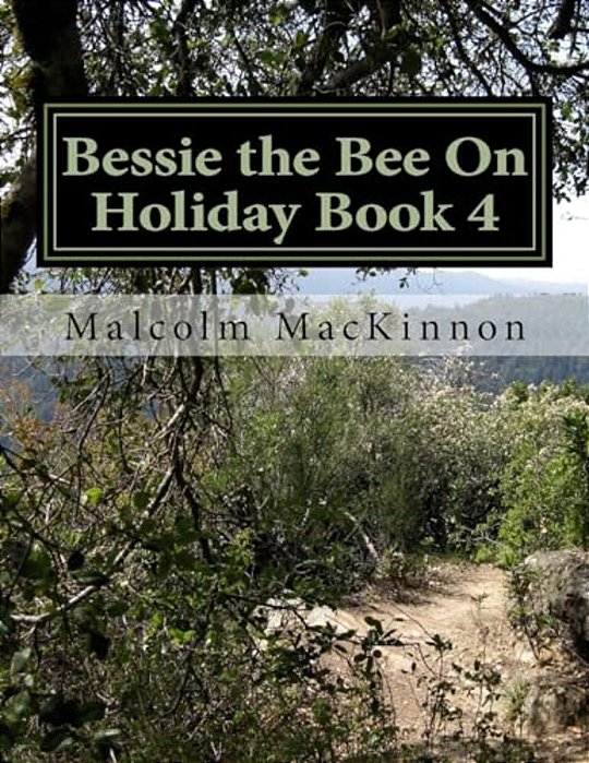 Bessie The Bee On Holiday Book 4: For Ages 2 To 5 Years-..