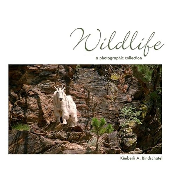 Wildlife: A Photographic Collection-..
