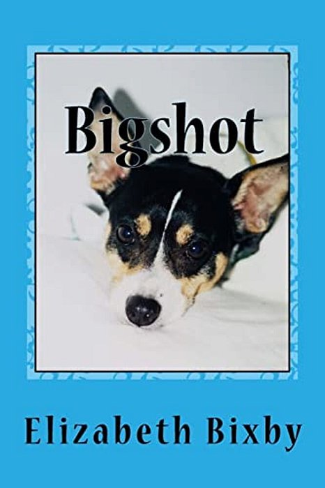 Bigshot-..