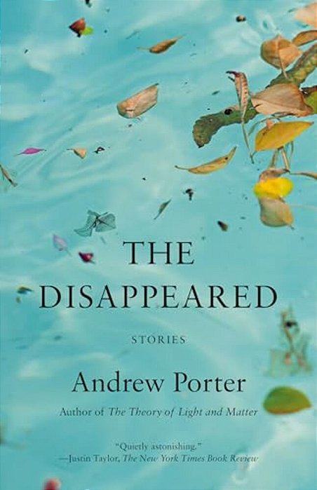 The Disappeared: Stories-..