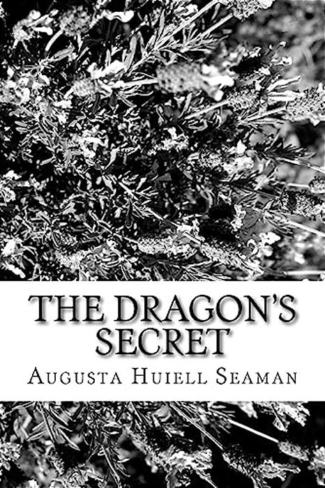 The Dragon's Secret-..