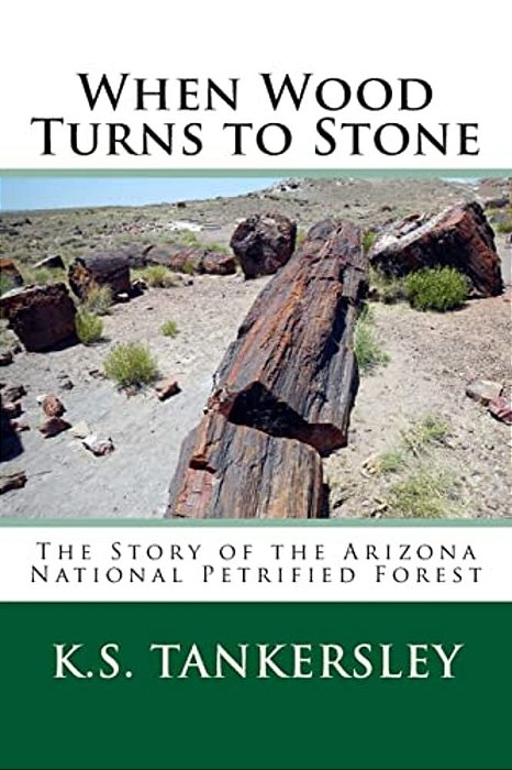 When Wood Turns To Stone: The Story Of The Arizona National Petrified Forest-..