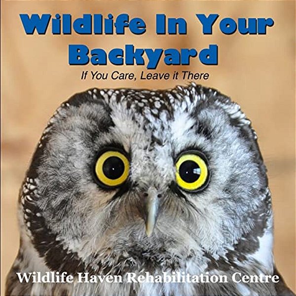 Wildlife In Your Backyard: If You Care - Leave It There!-..