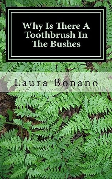 Why Is There A Toothbrush In The Bushes: And Other Little Life Mysteries-..