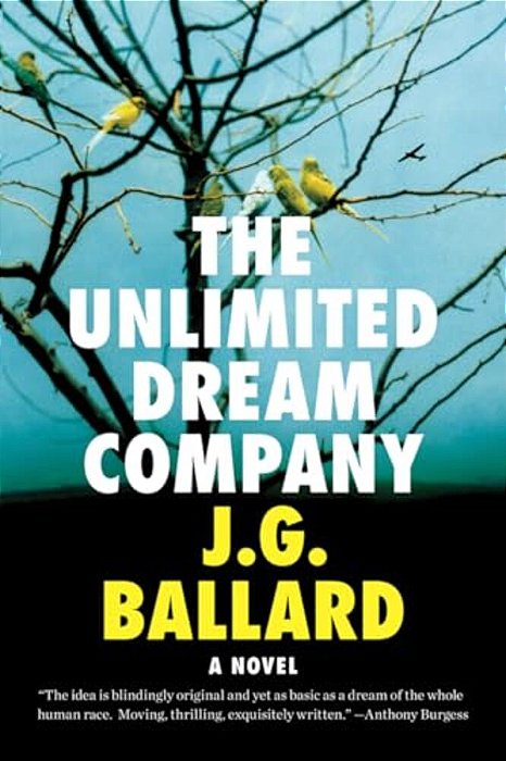 Unlimited Dream Company-..